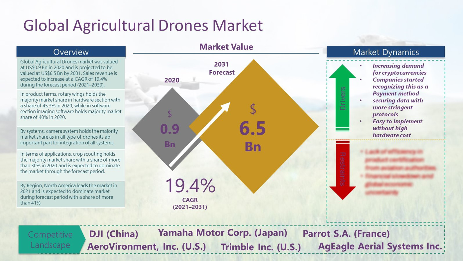 Agricultural Drones Market