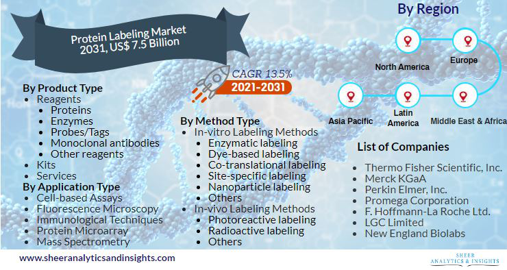 Protein Labeling Market